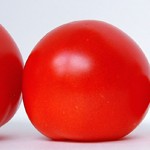 tomato_2